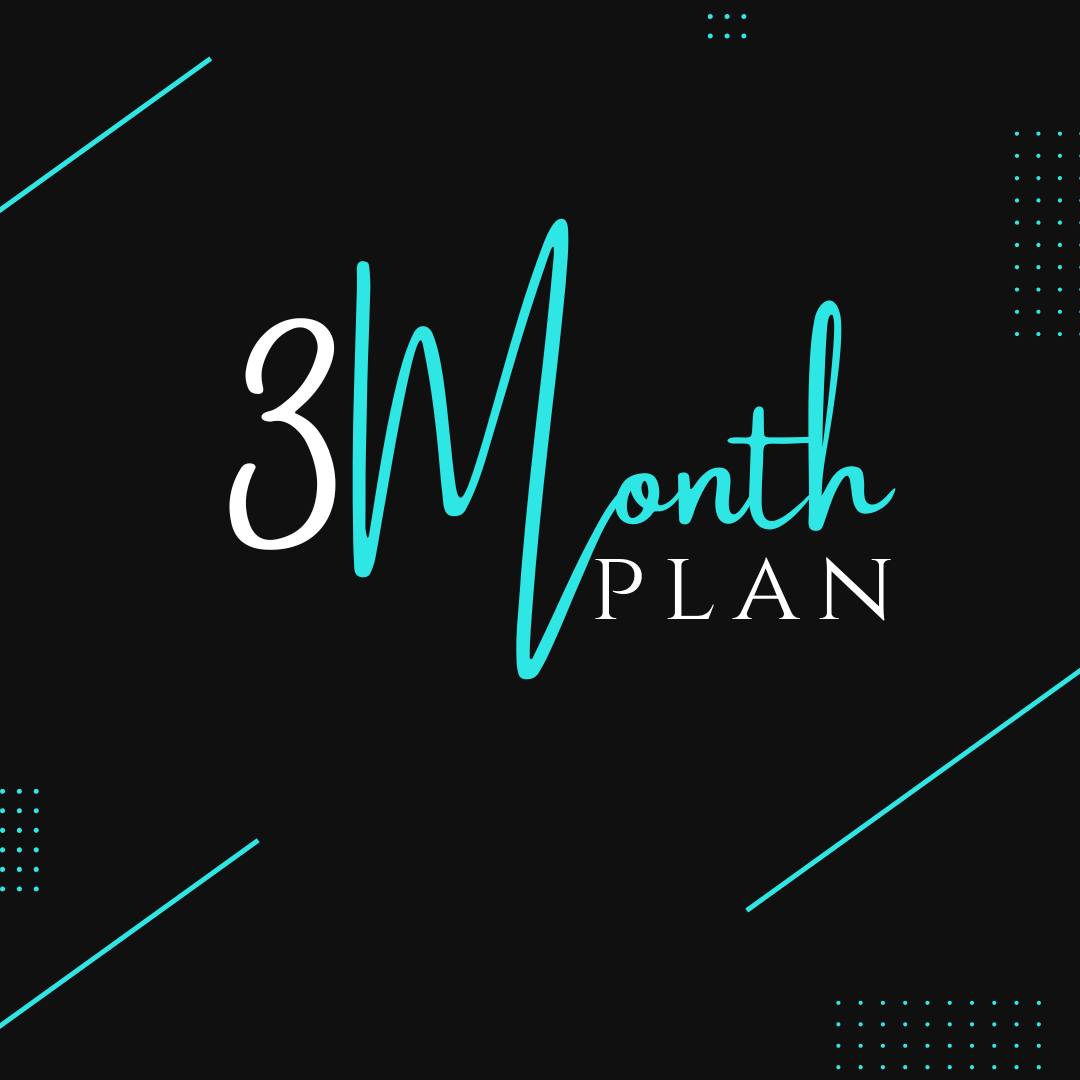 3 Month Plan