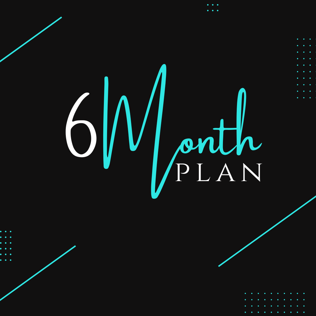 6 Month Plan
